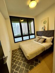 Irwell Hill Residences (D9), Apartment #458830971